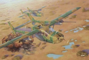 Roden 1:32 628 Reims FTB337G Lynx Bush war