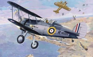 Roden 1:48 405 Gloster Sea Gladiator