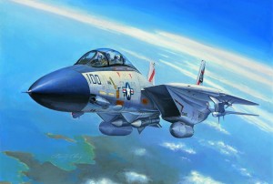 Hobby Boss 1:72 80276 F-14A Tomcat