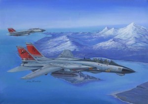 Hobby Boss 1:48 80368 F-14D Super Tomcat