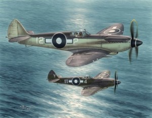 Special Hobby 1:48 100-SH48116 Seafire Mk.XV Far East Service