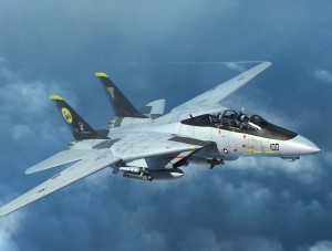 Trumpeter 1:144 3919 F-14D Tomcat